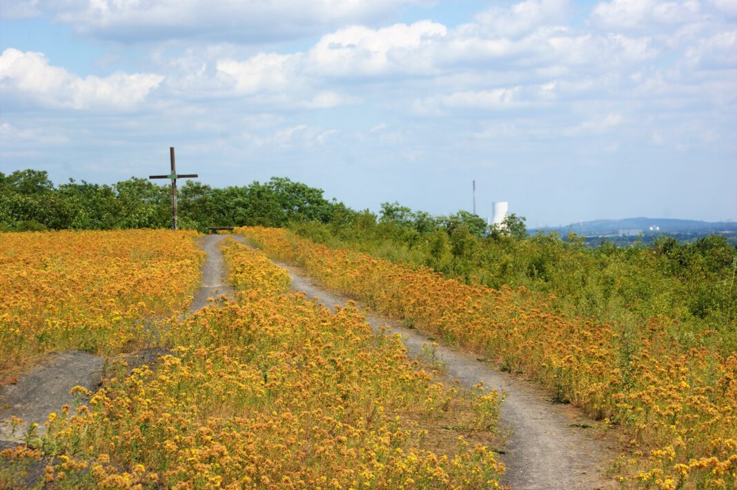 Pilgerweg