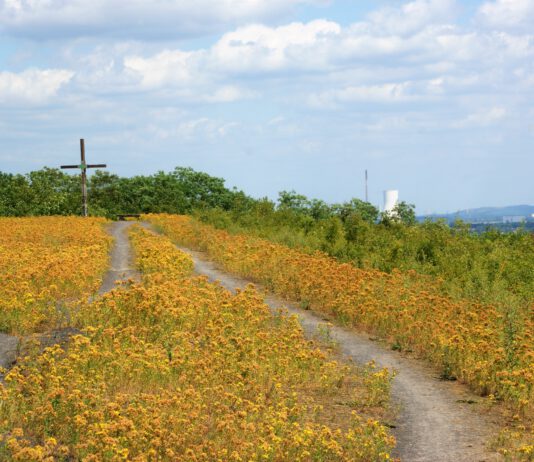 Pilgerweg