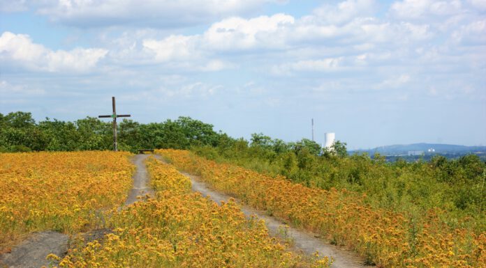 Pilgerweg