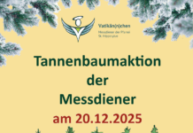 Tannenbaumaktion der Messdiener 2025