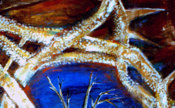 5. Fastensonntag – Hungertuch der Pfarrei St. Hippolytus – Thema: „Umwelt“