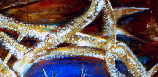 5. Fastensonntag – Hungertuch der Pfarrei St. Hippolytus – Thema: „Umwelt“