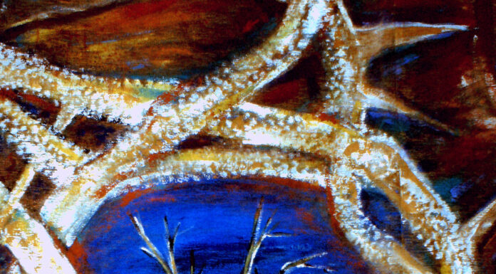 5. Fastensonntag – Hungertuch der Pfarrei St. Hippolytus – Thema: „Umwelt“